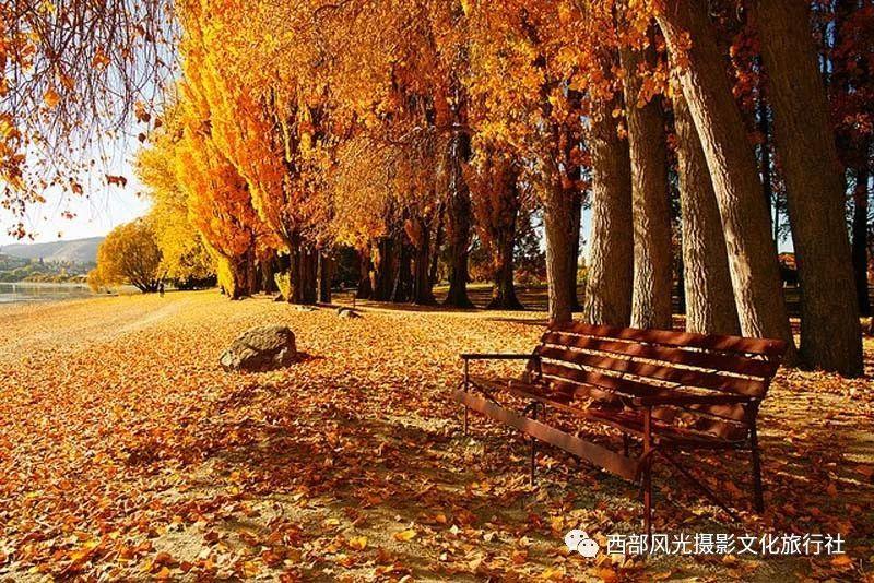 美式橄榄球大赛